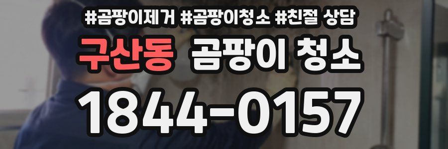 구산동 곰팡이 청소