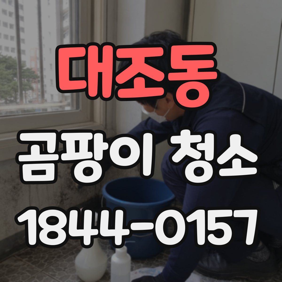 대조동 곰팡이 청소