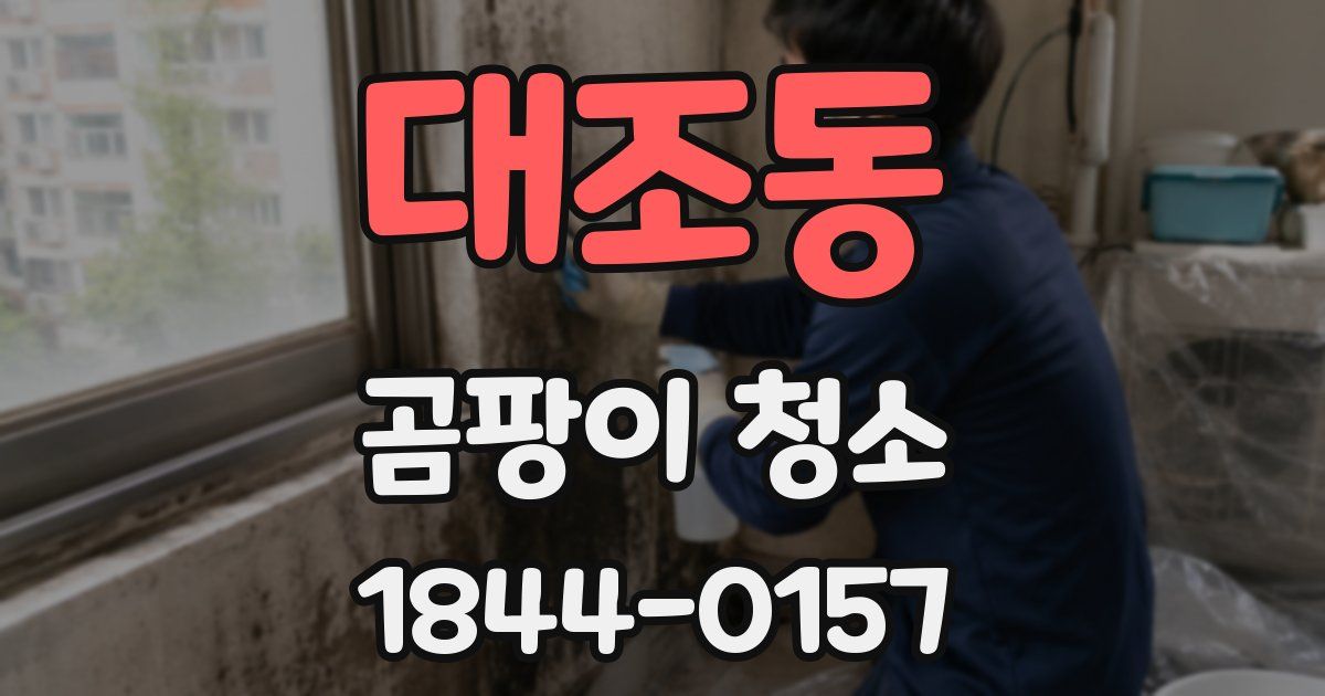 대조동 곰팡이 청소