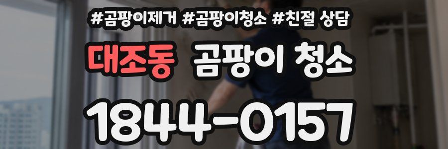 대조동 곰팡이 청소