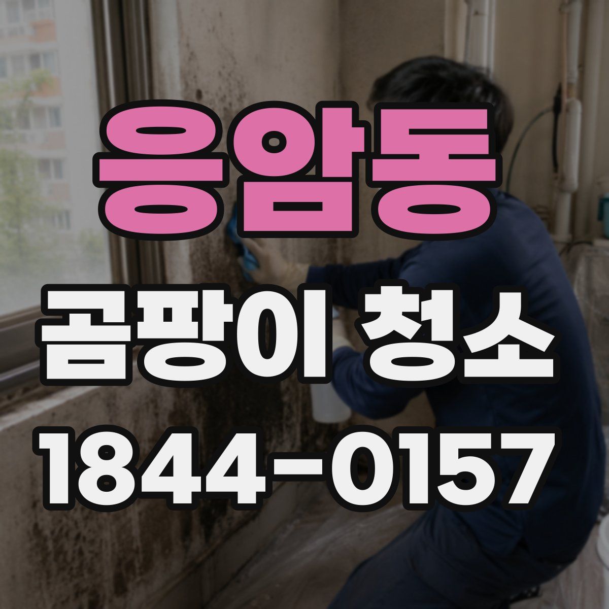응암동 곰팡이 청소