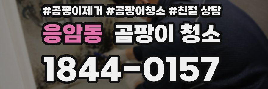 응암동 곰팡이 청소