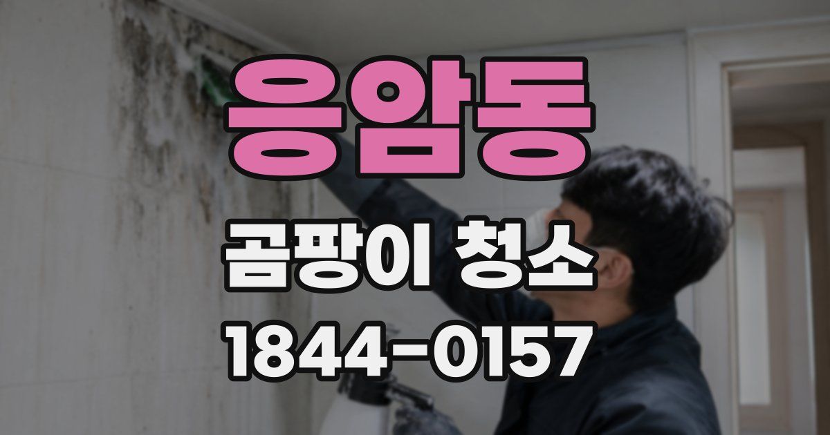 응암동 곰팡이 청소