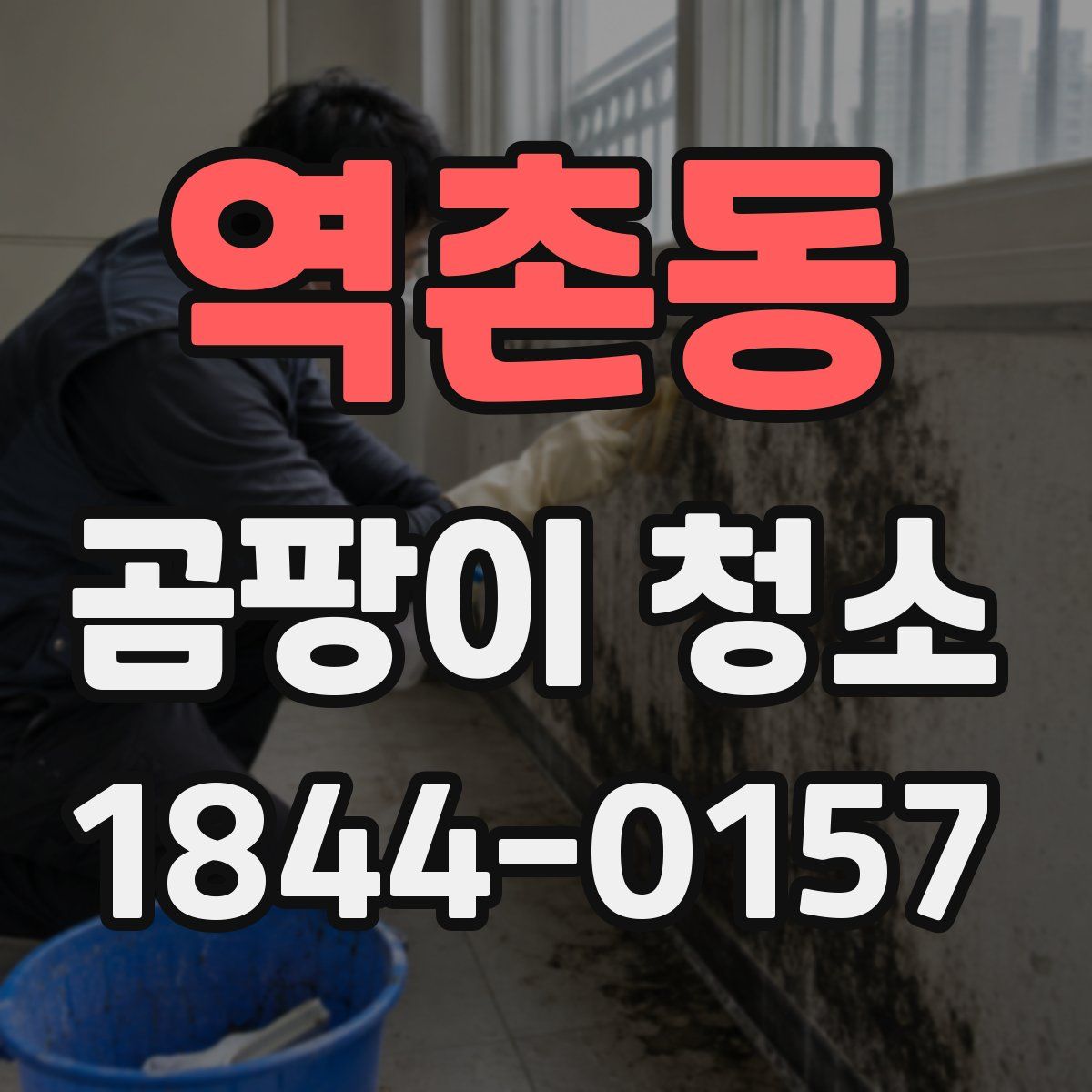역촌동 곰팡이 청소