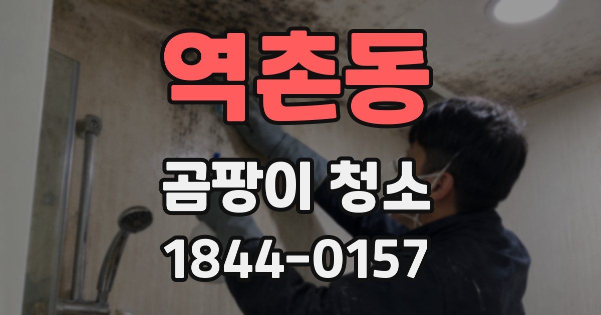 역촌동 곰팡이 청소