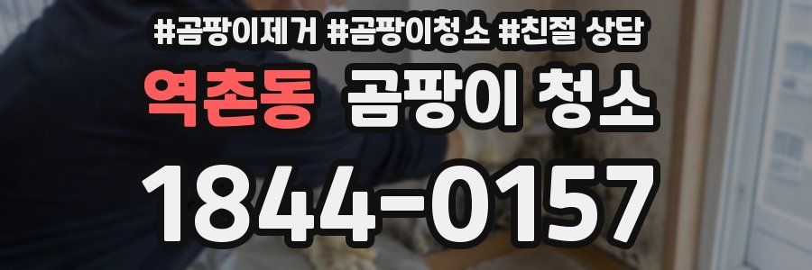 역촌동 곰팡이 청소