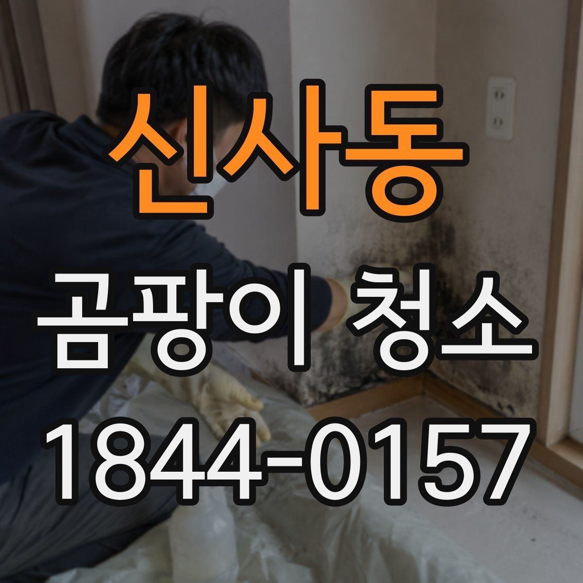 신사동 곰팡이 청소 방식별 특징과 장단점