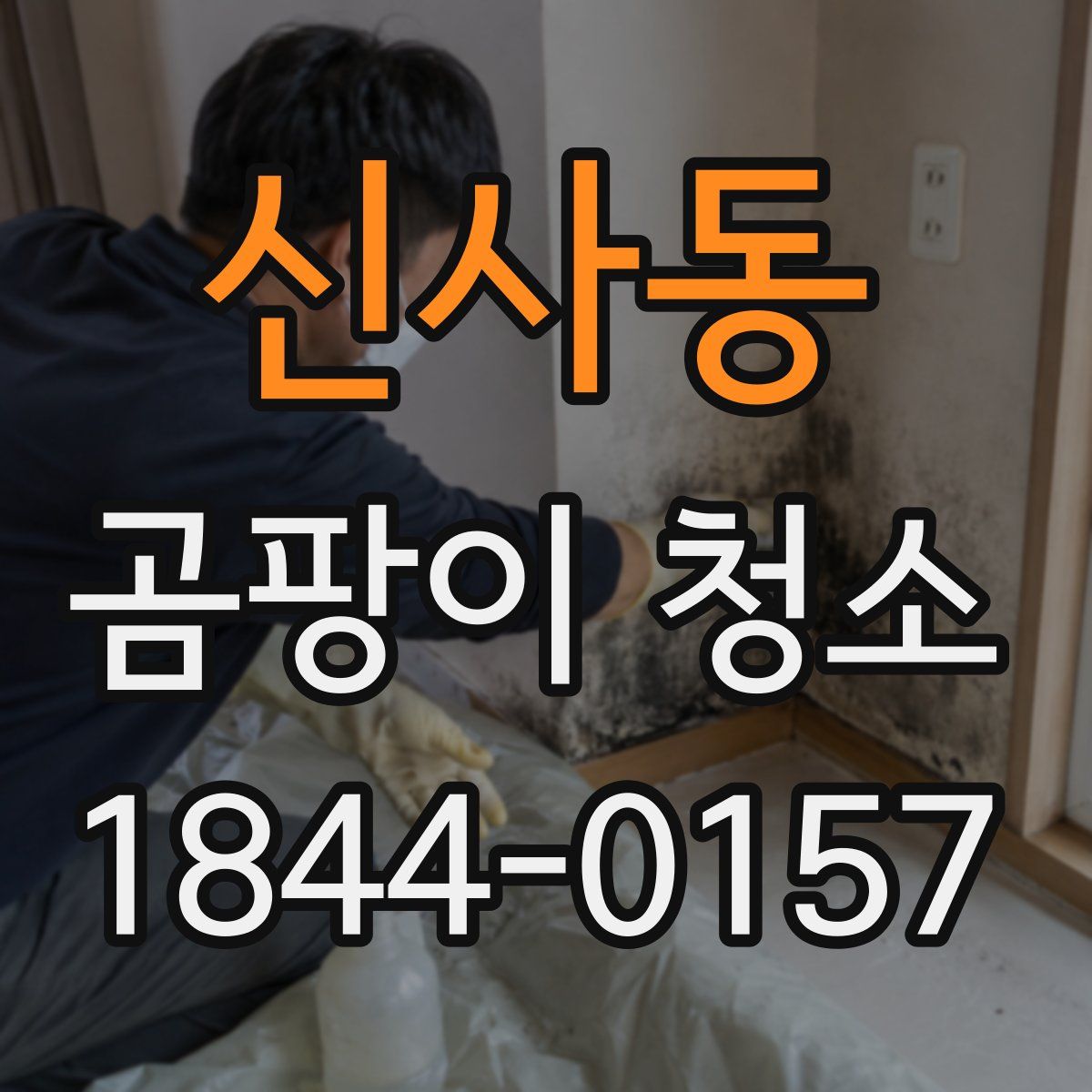 신사동 곰팡이 청소