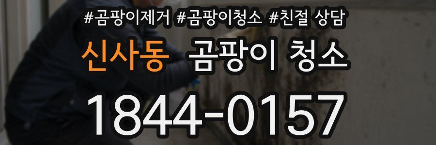 신사동 곰팡이 청소