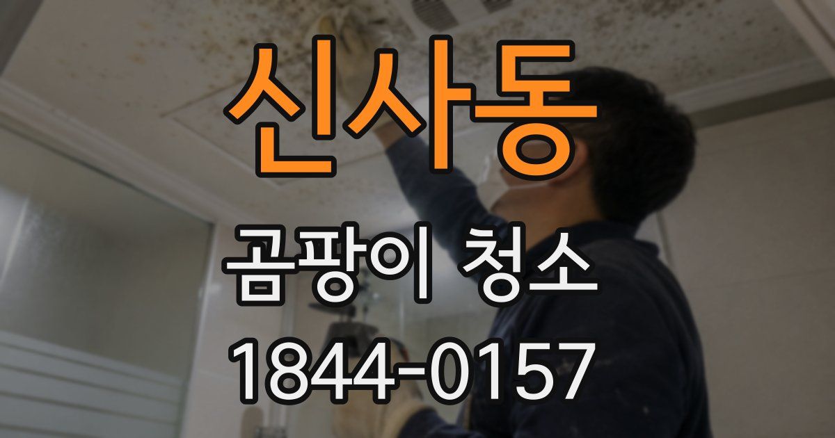 신사동 곰팡이 청소