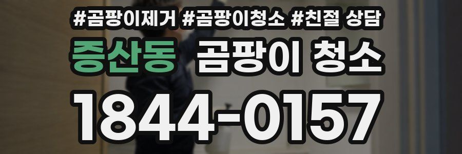 증산동 곰팡이 청소