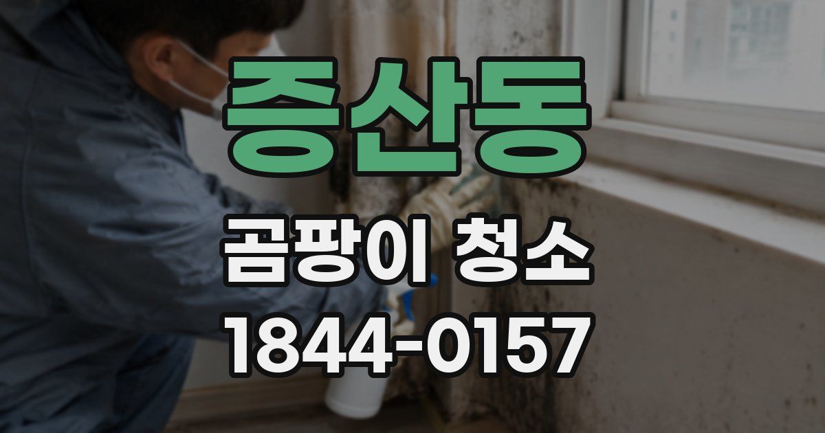 증산동 곰팡이 청소