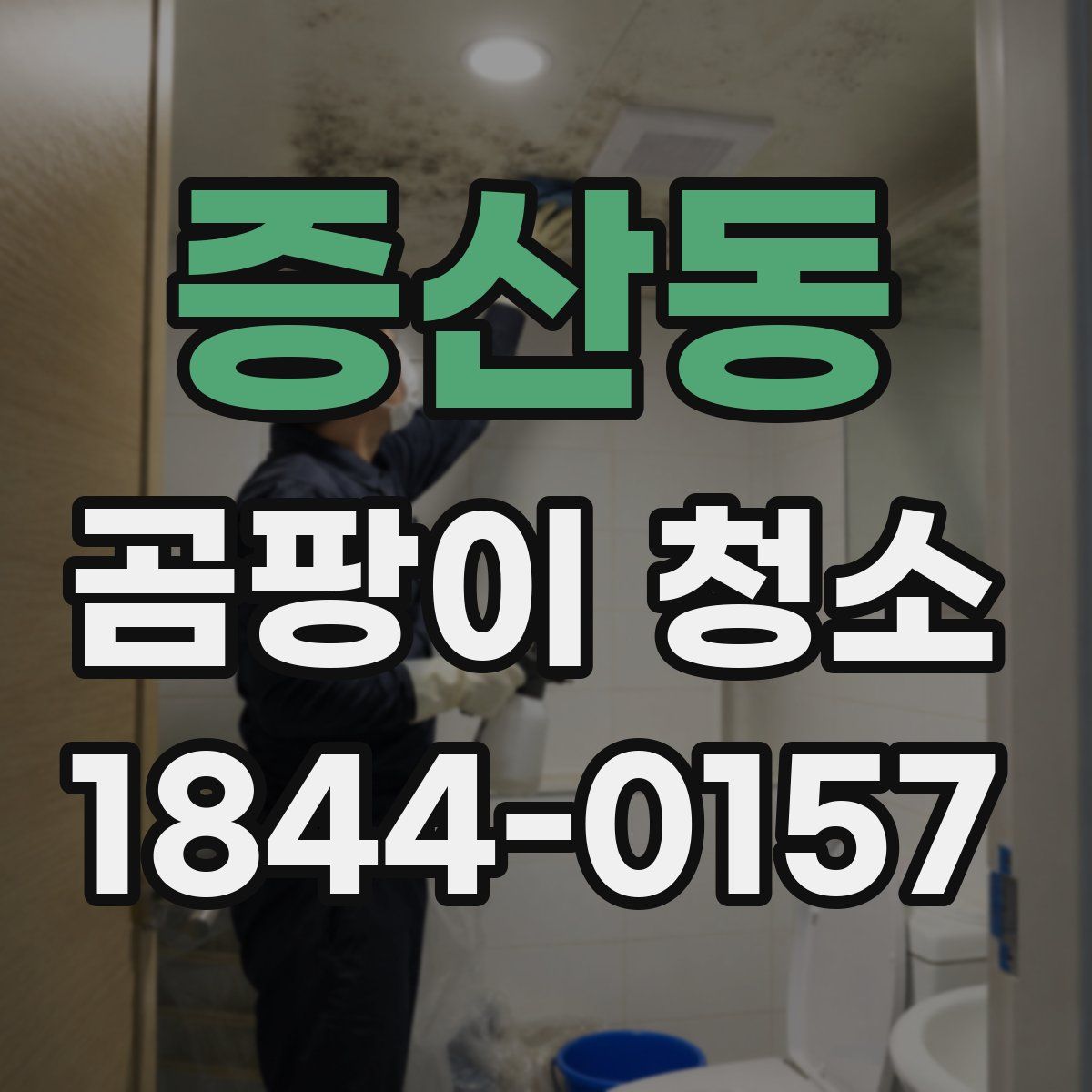 증산동 곰팡이 청소
