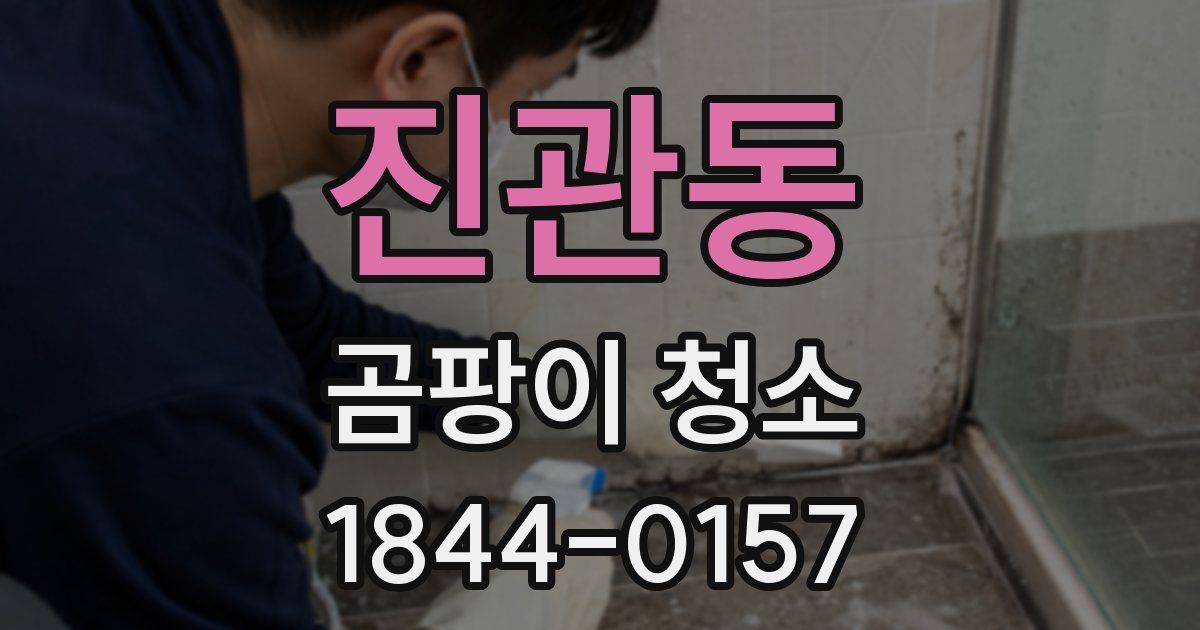 진관동 곰팡이 청소