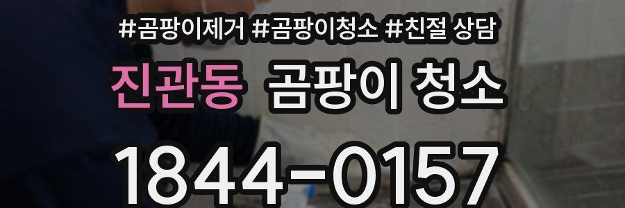 진관동 곰팡이 청소