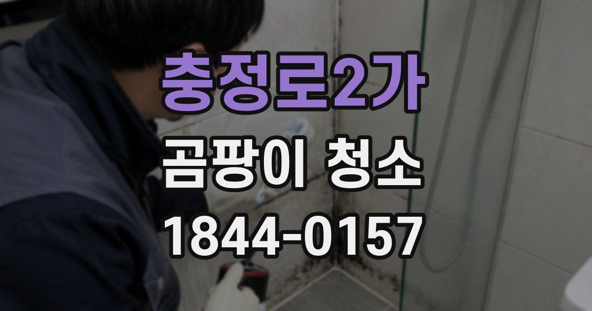 충정로2가 곰팡이 청소