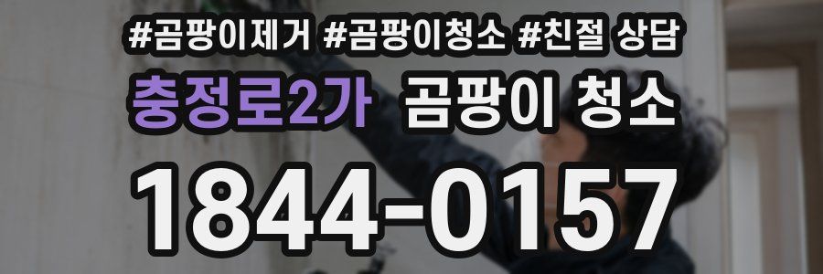 충정로2가 곰팡이 청소