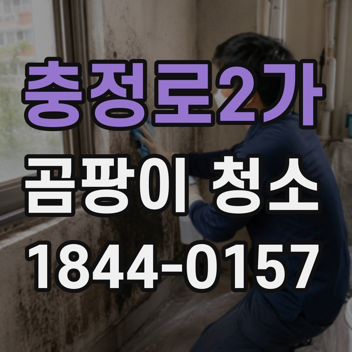 충정로2가 곰팡이 청소