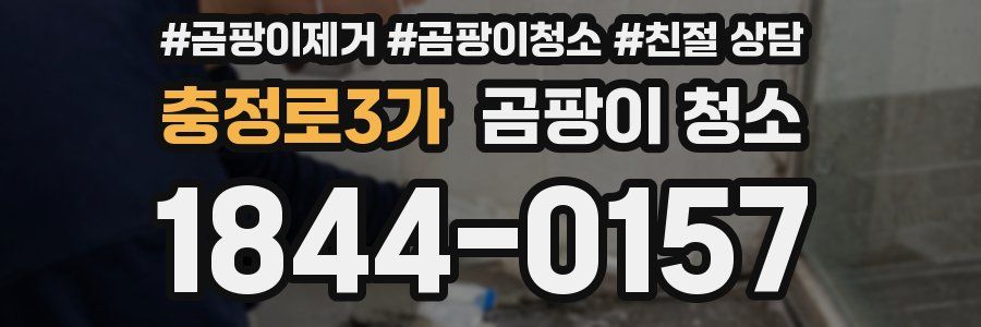 충정로3가 곰팡이 청소