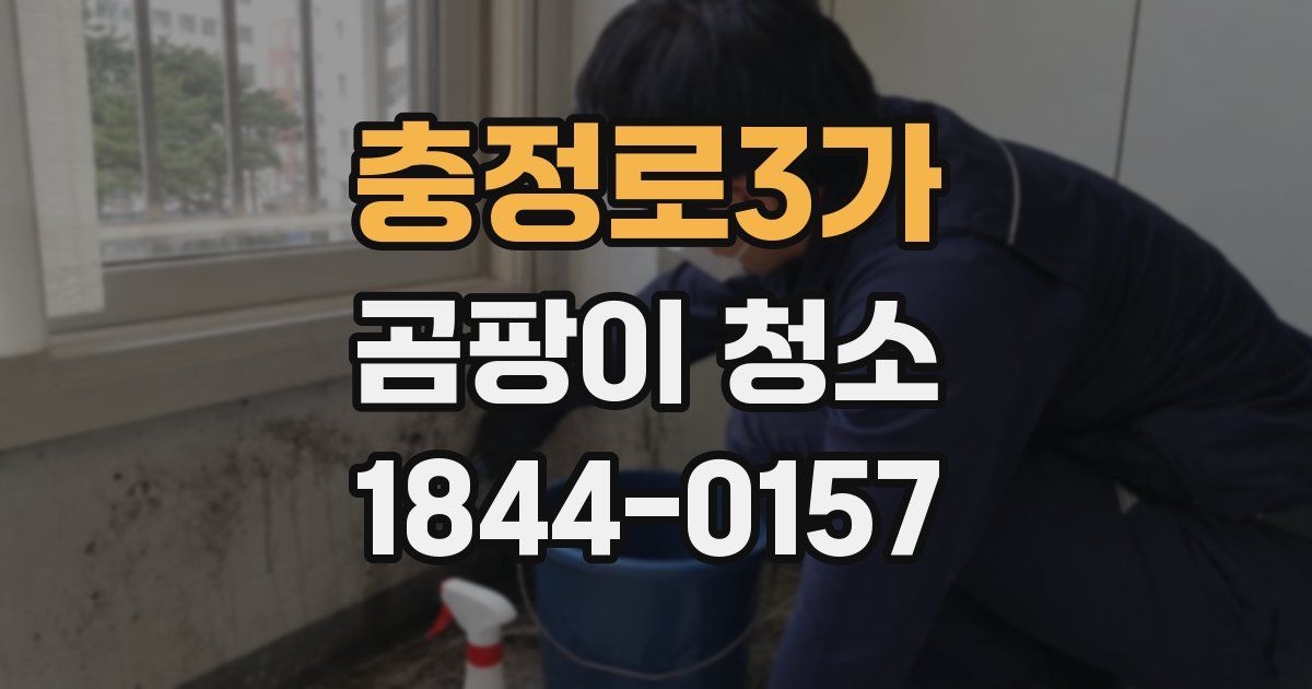 충정로3가 곰팡이 청소