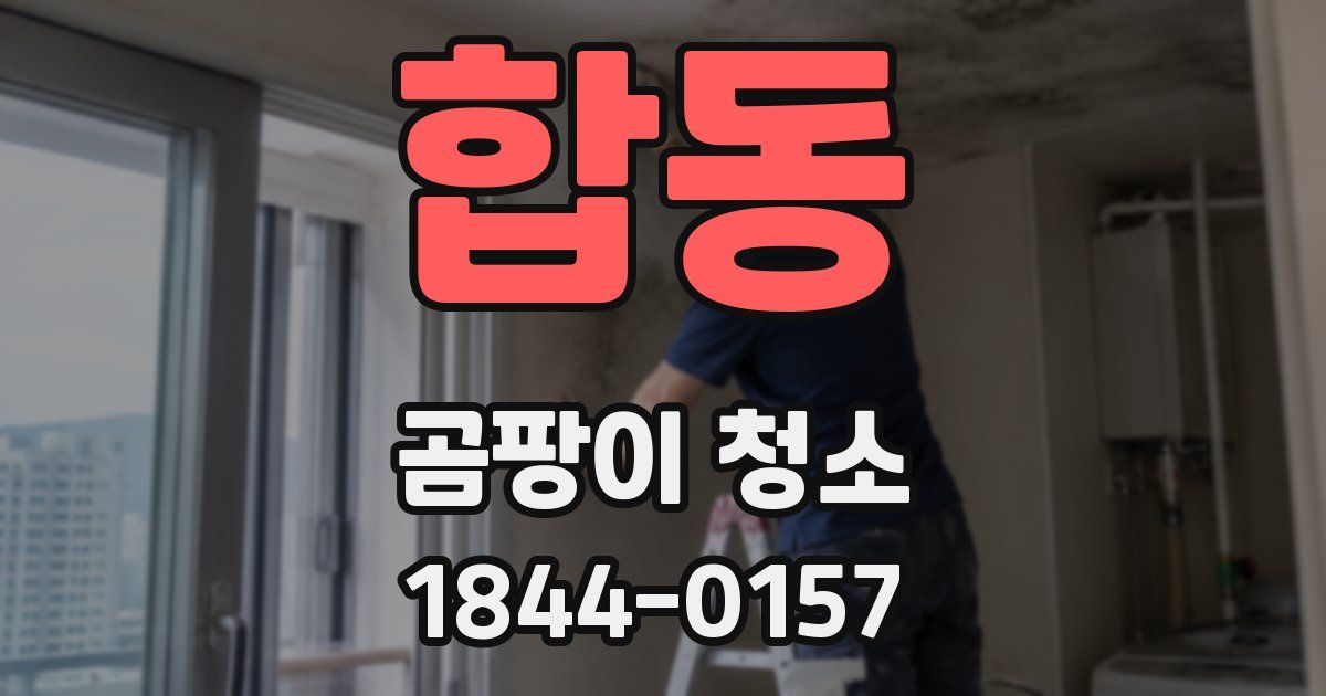 합동 곰팡이 청소