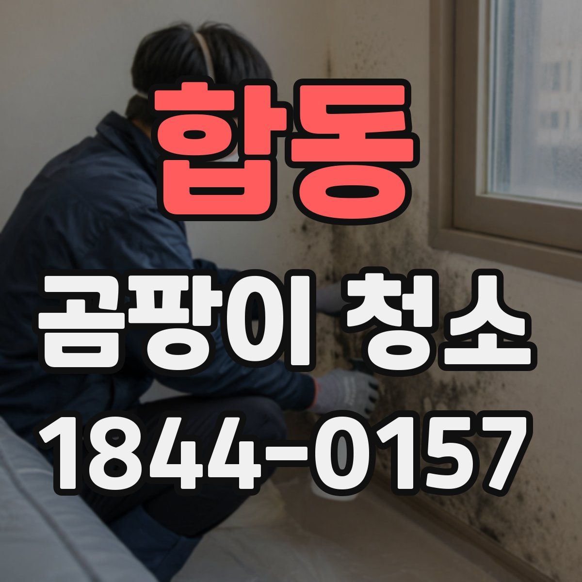 합동 곰팡이 청소