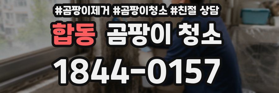합동 곰팡이 청소
