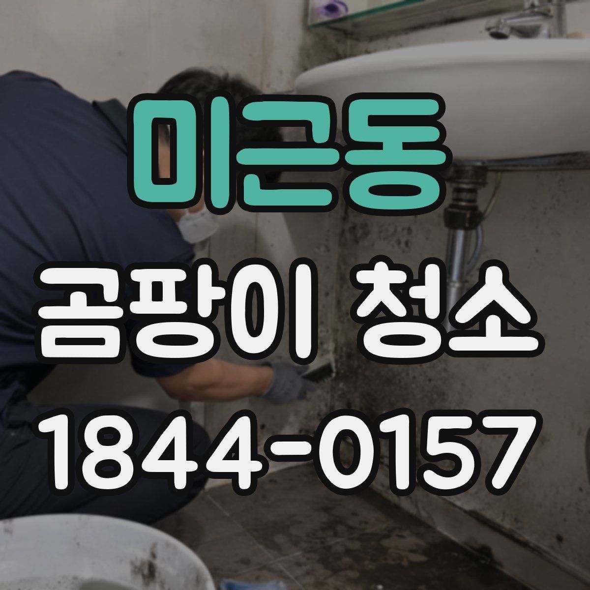 미근동 곰팡이 청소