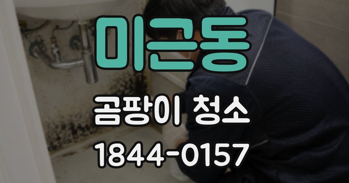 미근동 곰팡이 청소