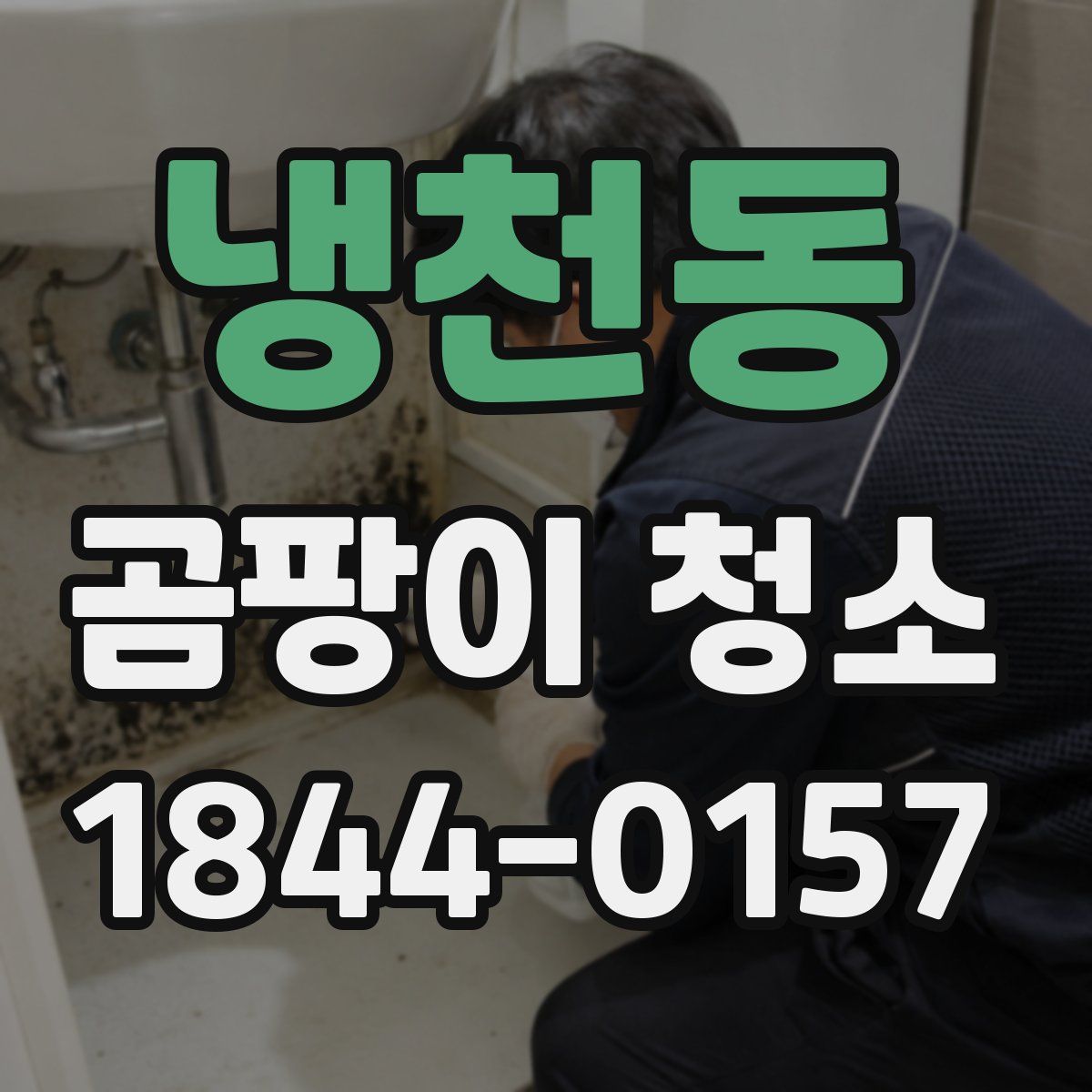 냉천동 곰팡이 청소