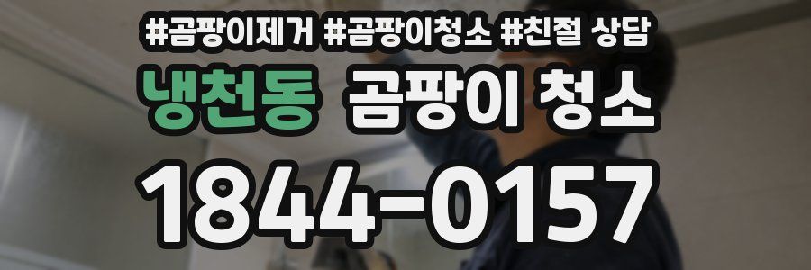 냉천동 곰팡이 청소