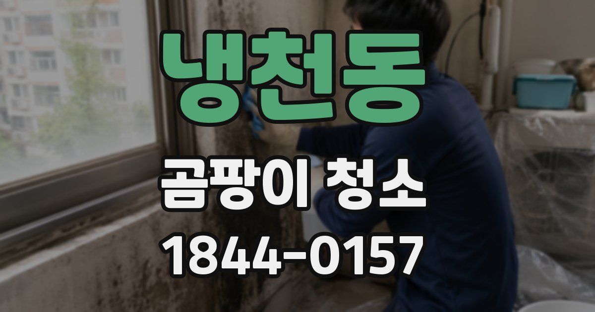 냉천동 곰팡이 청소