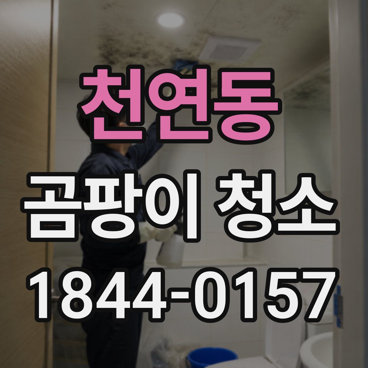 천연동 곰팡이 청소
