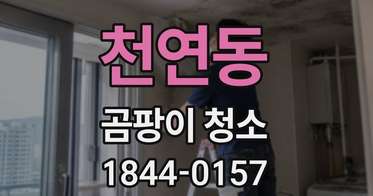 천연동 곰팡이 청소