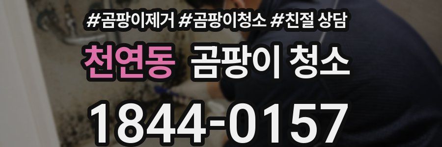 천연동 곰팡이 청소