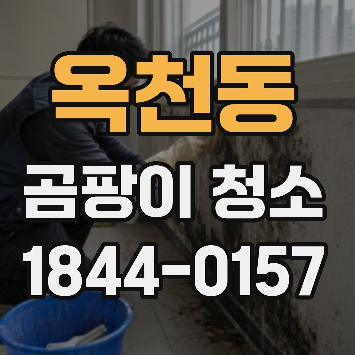 옥천동 곰팡이 청소