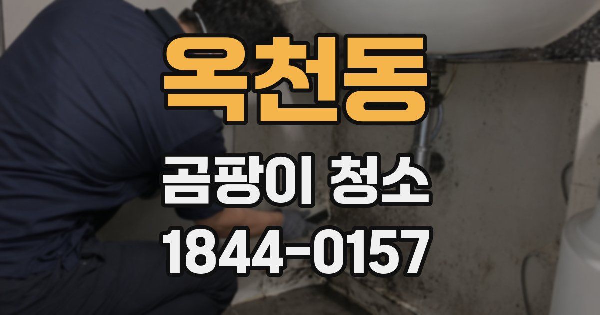 옥천동 곰팡이 청소