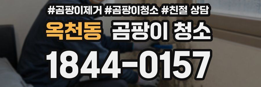 옥천동 곰팡이 청소