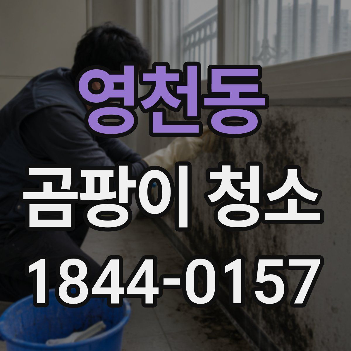 영천동 곰팡이 청소