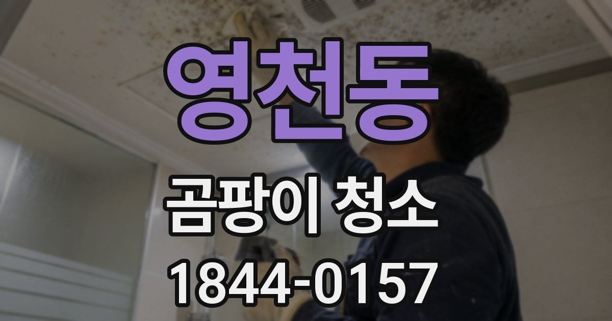 영천동 곰팡이 청소