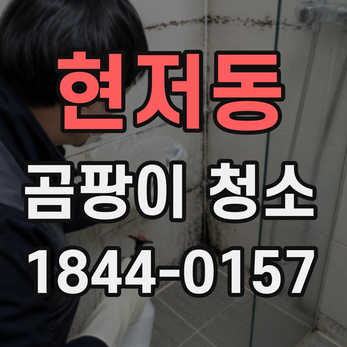 현저동 곰팡이 청소