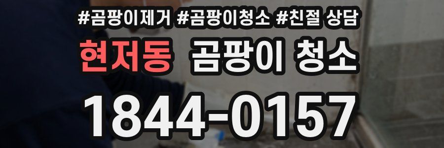 현저동 곰팡이 청소