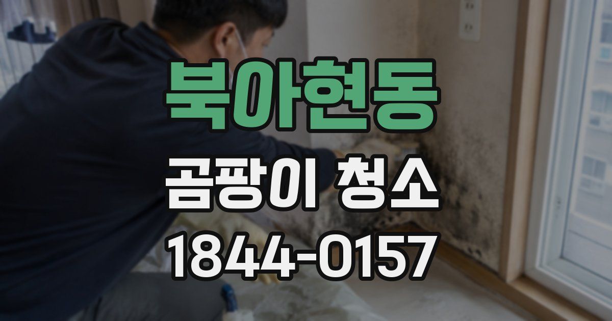 북아현동 곰팡이 청소