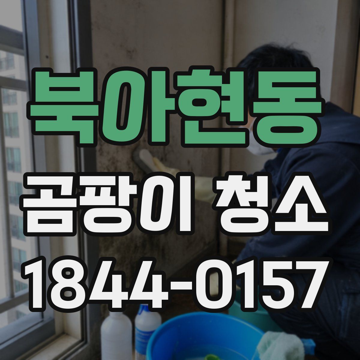 북아현동 곰팡이 청소
