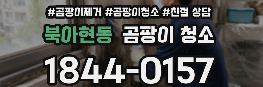 북아현동 곰팡이 청소