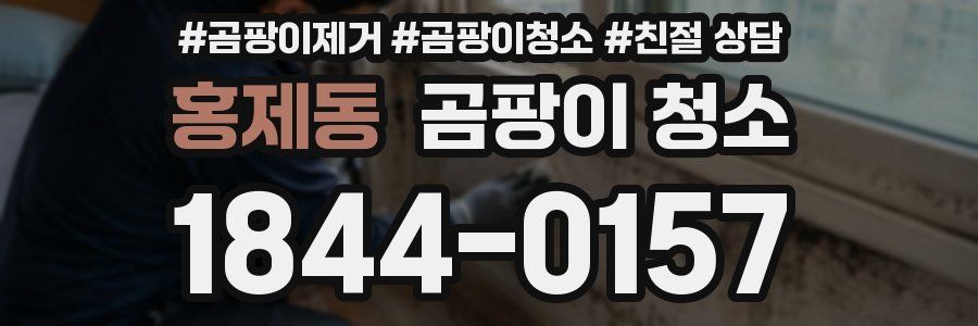 홍제동 곰팡이 청소