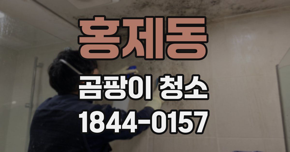 홍제동 곰팡이 청소