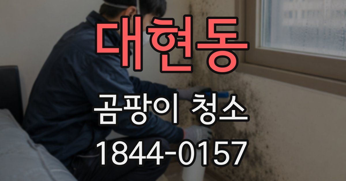 대현동 곰팡이 청소