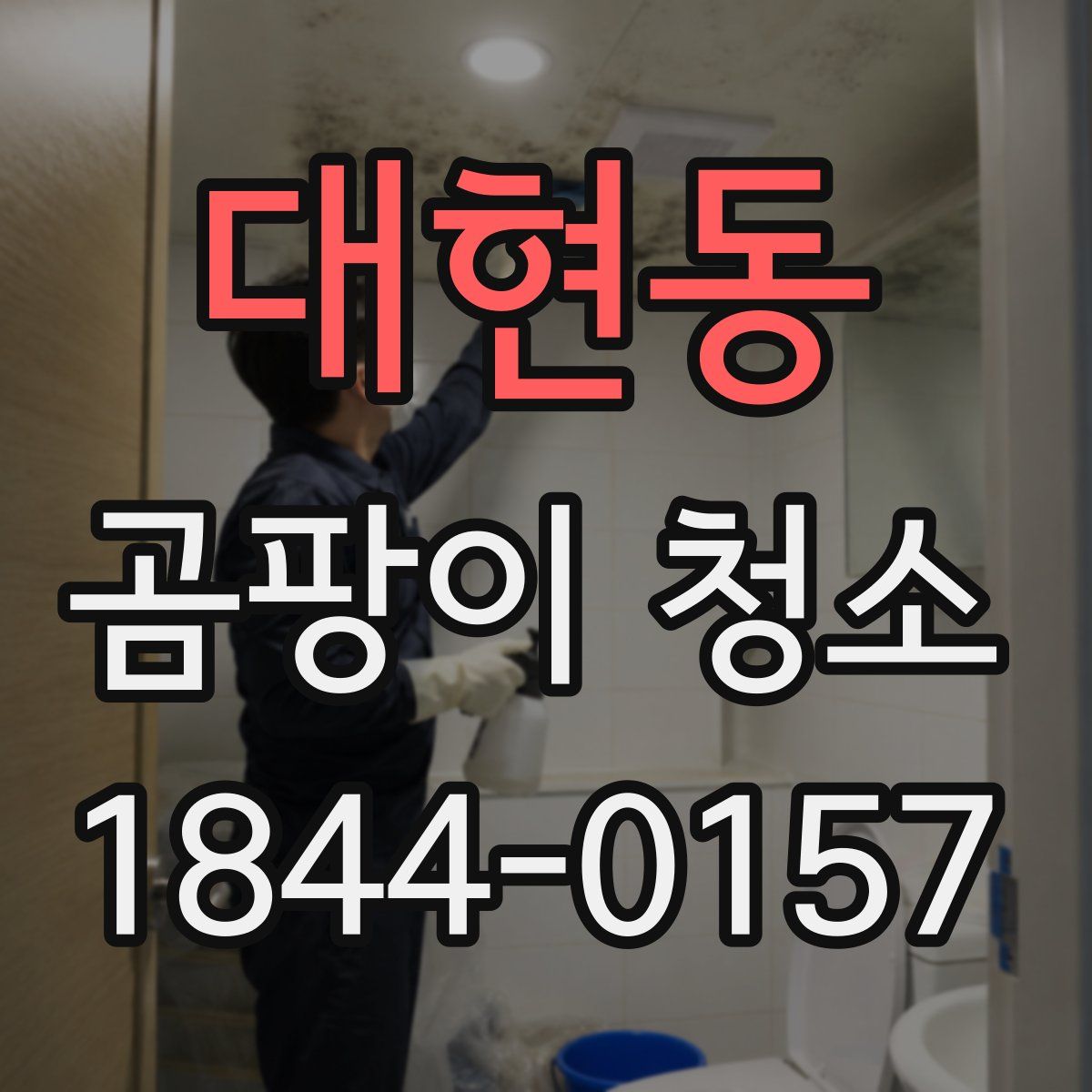 대현동 곰팡이 청소