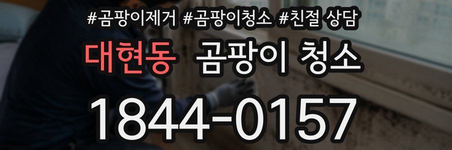 대현동 곰팡이 청소